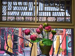 -宫事颐庭·老佛爷贵寿下午茶(颐和园店)