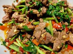 香菜炒牛肉-壹盏灯(蚂蚁工房店)