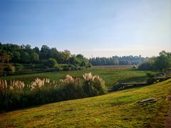 -白鹭湾湿地公园