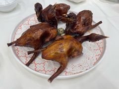 -渔意楼·驰名沙田乳鸽(五羊店)