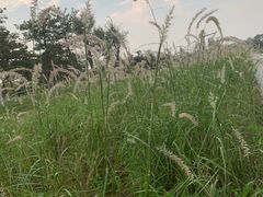 -汉长安城未央宫国家考古遗址公园