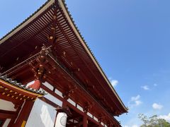 -奈良公园