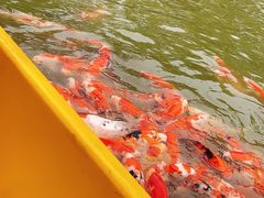 -南宫五洲植物乐园