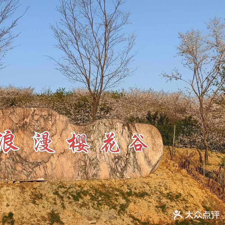 趁着蓝天去就对了