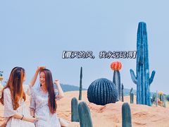 -西海岸生态观光园