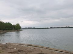 -丁香湖公园