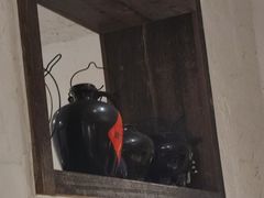 -小时候焗海鲜(鄞州万达店)