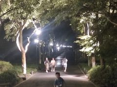 -西湖外事游船(花港观鱼码头)