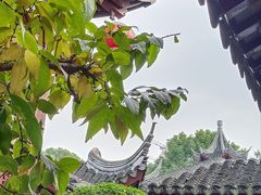 -檀园