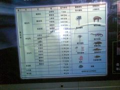 年代划分-国家自然博物馆