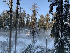 -瓦屋山景区