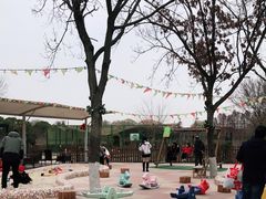 -太阳岛度假酒店