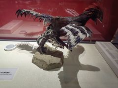 -国家自然博物馆