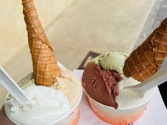 -Dip in Gelato(富民路店)