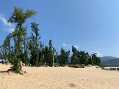 -西涌国际滨海旅游区