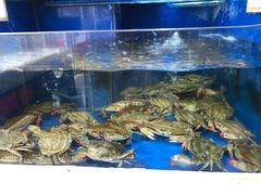 -小铜锣湾海鲜家常菜馆(河西店)