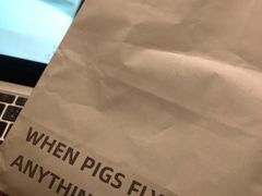 -WHEN PIGS FLY当猪飞