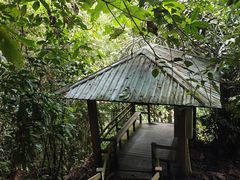 -乌鲁淡布隆国家公园