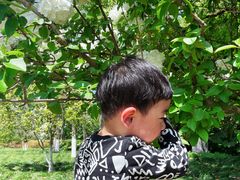 -杭州城北体育公园