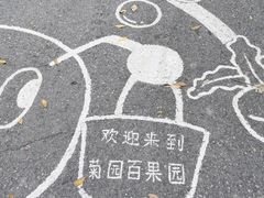 -菊园百果园