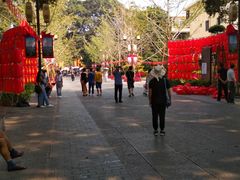 -东西巷