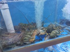 -泮金大塘(北二七路店)