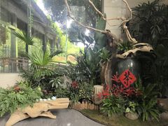 -中国茶叶博物馆(双峰馆区)