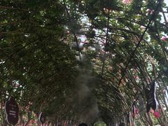 -武汉紫薇都市田园