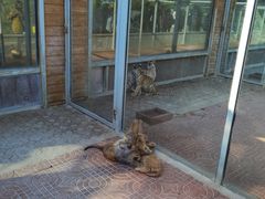 -西霞口神雕山野生动物世界