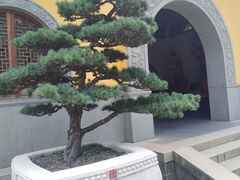 -太平禅寺