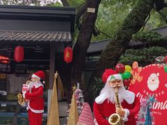 -侨美·唐荔园·40年地道粤菜