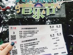 -黄海国家森林公园