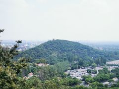 -上海佘山国家森林公园西佘山园