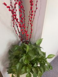 -南京美莱医疗美容·旗舰店