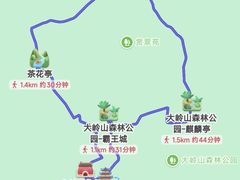 -东莞市大岭山森林公园