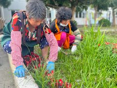 -上海市松江华阳敬老院