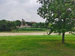 -盘龙城遗址博物院