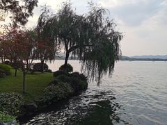 -浙江西子宾馆·牡丹厅