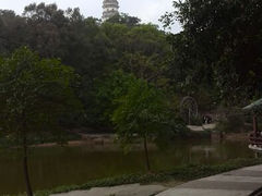 android_upload_pic-榴花公园