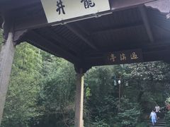 -龙井村