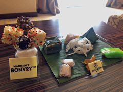 -芽庄喜来登水疗酒店