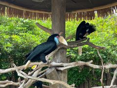 -上海野生动物园