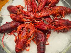 -红盔甲·小龙虾(人民广场店)