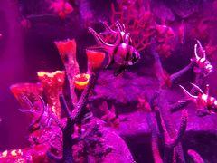 -沈阳海洋探索中心