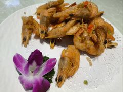 -金典银峰老鹅馆·昆山菜(亭林公园店)