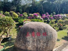 -三亚蜈支洲岛旅游区