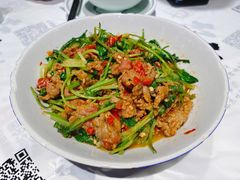香菜炒牛肉-壹盏灯(惠农店)
