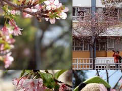 -大埔公路-马料水段香港中文大学(公交站)