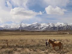 -青海湖国家重点风景名胜区