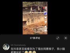 -昆明动物园